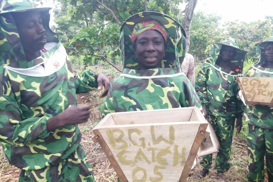Training Smallholder farmers in Nsawam in the Eastern Region of Ghana to increase  crop productivity and conserve the Environment.